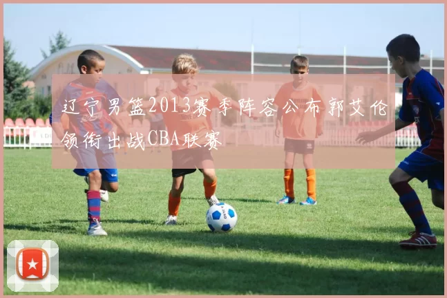 辽宁男篮2013赛季阵容公布郭艾伦领衔出战CBA联赛