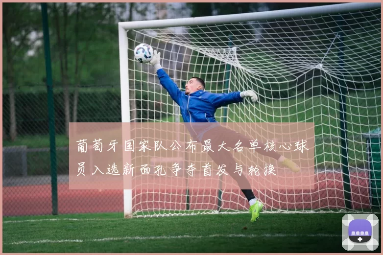 葡萄牙国家队公布最大名单核心球员入选新面孔争夺首发与轮换