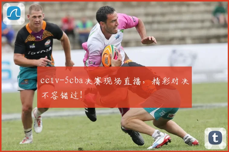 cctv-5cba决赛现场直播，精彩对决不容错过！