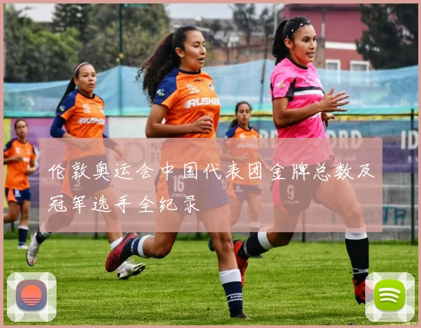 伦敦奥运会中国代表团金牌总数及冠军选手全纪录