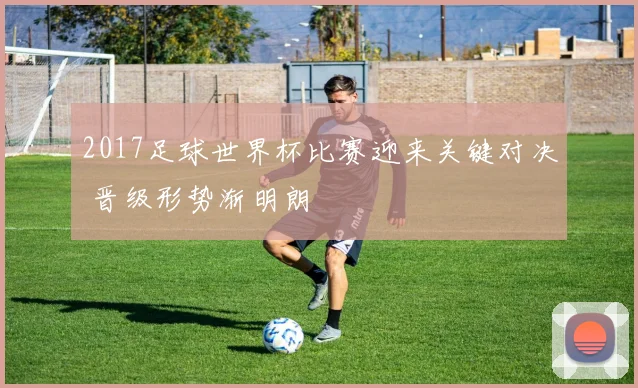 2017足球世界杯比赛迎来关键对决 晋级形势渐明朗